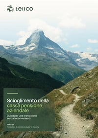 Die firmeneigene Pensionskasse auflösen - IT